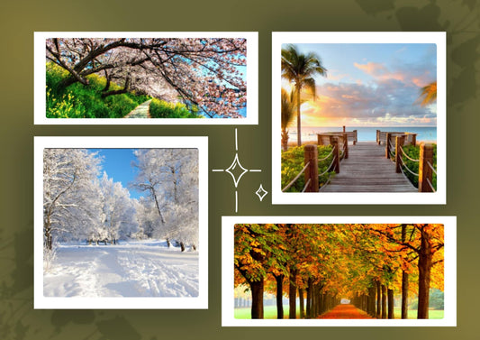 Skincare and Beauty Tips for Every Season: Products to Keep You Glowing All Year Round