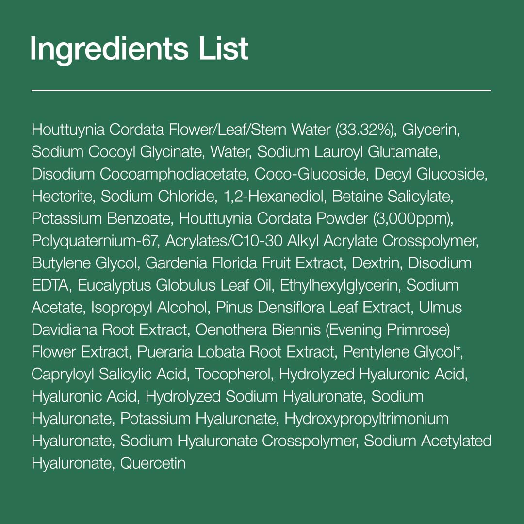 Anua HEARTLEAF QUERCETINOL PORE DEEP CLEANSING FOAM 150ml - PureRush